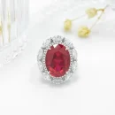 product/2025/9/11/1966090049267306496.jpg