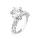 product/2026/3/12/2032016045098799104.jpg